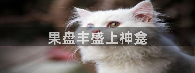 球友会体育app下载官网安卓