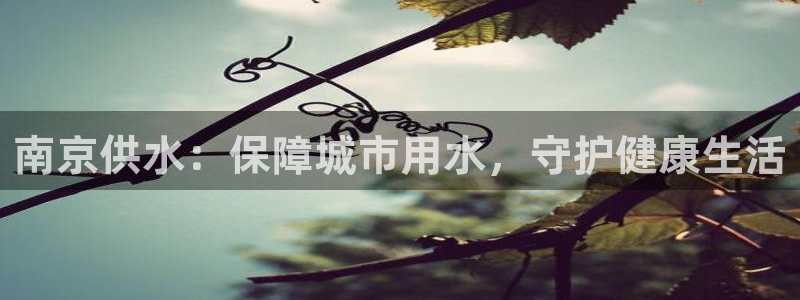 球友会官方网站下载