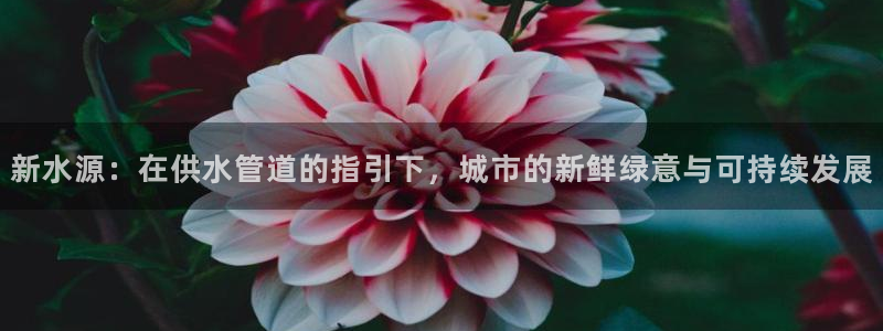 qy球友会体育官方平台